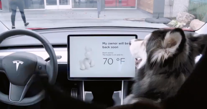 Tesla sentry dog mode